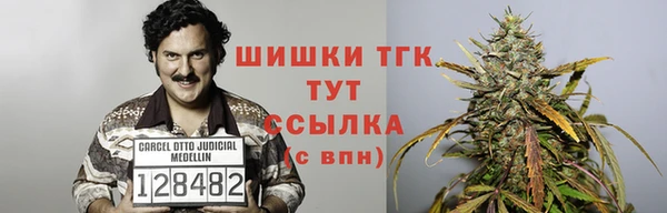 ГАЛЛЮЦИНОГЕННЫЕ ГРИБЫ Богданович