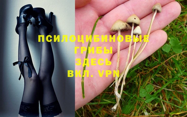гашишное масло Богородицк