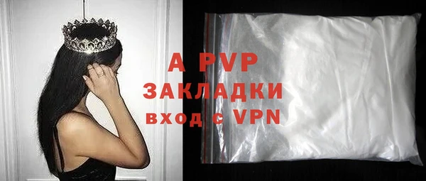 ГАЛЛЮЦИНОГЕННЫЕ ГРИБЫ Богданович
