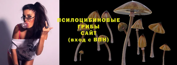 гашишное масло Богородицк