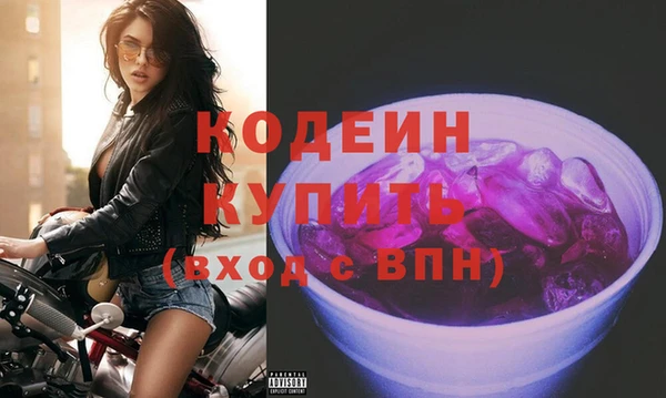 ГАЛЛЮЦИНОГЕННЫЕ ГРИБЫ Богданович