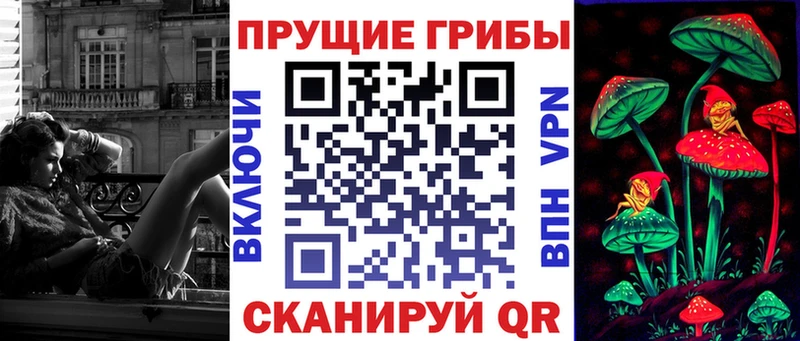 Псилоцибиновые грибы GOLDEN TEACHER  сайты даркнета состав  Белокуриха  дарнет шоп 